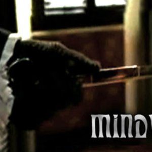 Mindvoid 的头像