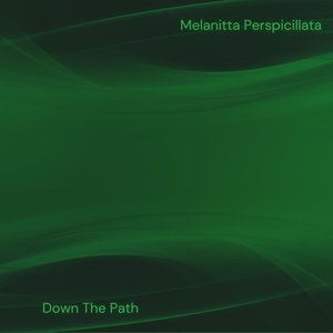 Down The Path