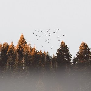 Ukiyo - Single