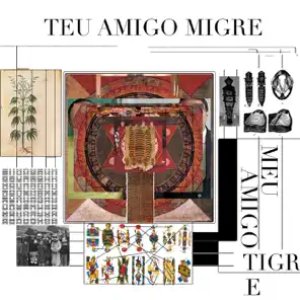 Teu Amigo Migre