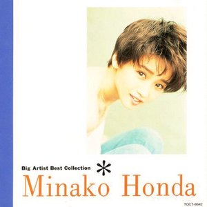 Big Artist Best Collection