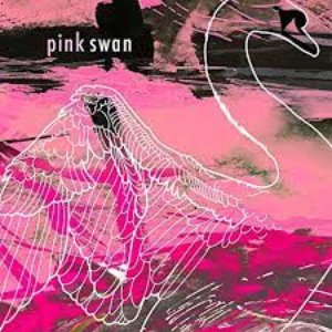 PINK SWAN 的头像
