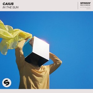 In The Sun - Single