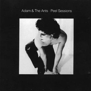 Image for 'The Peel Sessions'