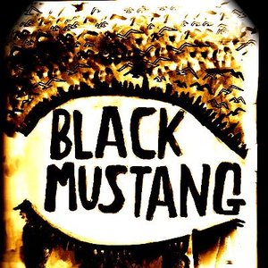 Image for 'Black Mustangs'