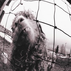 Vs. - Reissue