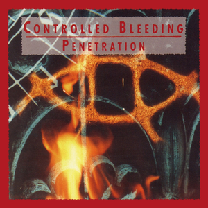 Penetration cover