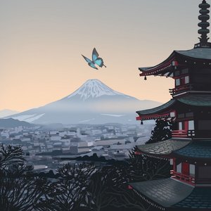 A Butterfly's View