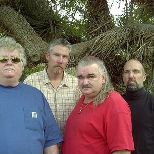 The Magic Band 的头像