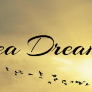 Calea Dreaming 的头像