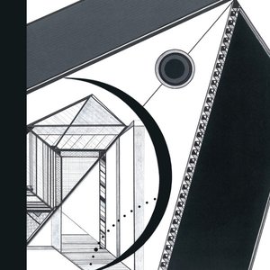 Polarized - Single