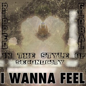 I Wanna Feel (Karaoke Version) [In the Style of Secondcity]