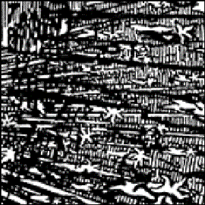 IOVAE 的头像