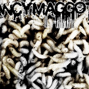 Fancy Maggots 的头像