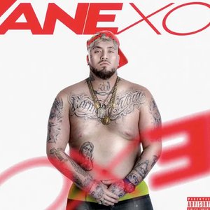 Anexo