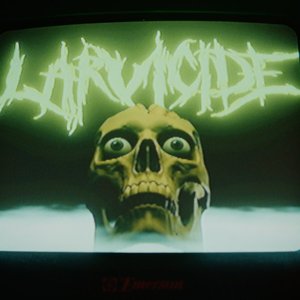 Larvicide 的头像