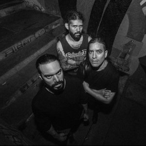 Rottenearth 的头像