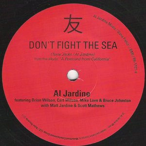 Don't Fight The Sea