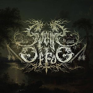 Spells of Fog 的头像