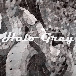Halo Grey 的头像