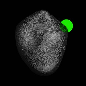 Propaganda, Thunder Bae 的头像