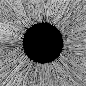 Vola - Witness - Zortam Music