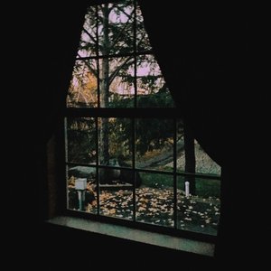 Image for 'Your face in the window'