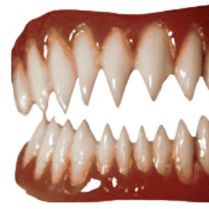 teeth