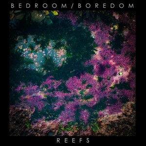 Reefs - EP