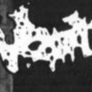 Vomitt のアバター