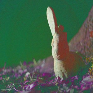 Rabbit Run
