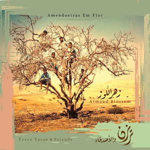 Almond Blossom