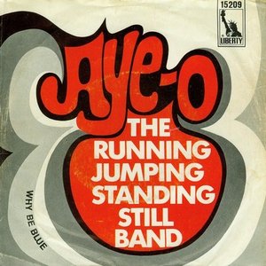 Avatar de The Running Jumping Standing Still Band