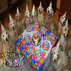 party if u want 2