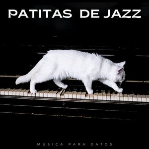 Аватар для Música para gatos Deluxe