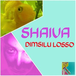 Dimsilu Losso
