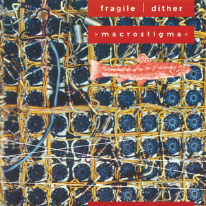 Macrostigma cover