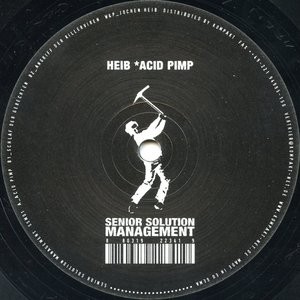 Acid Pimp