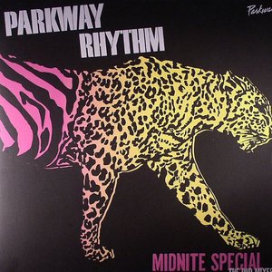 Midnite Special: The Dub Mixes