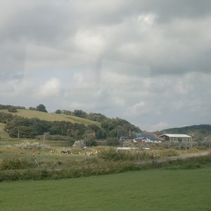 Weideland