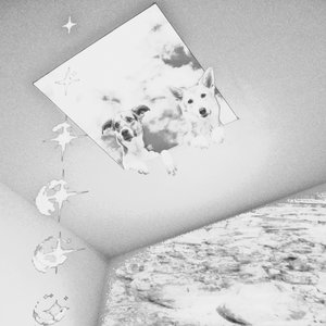 BATHED IN SKYLIGHT