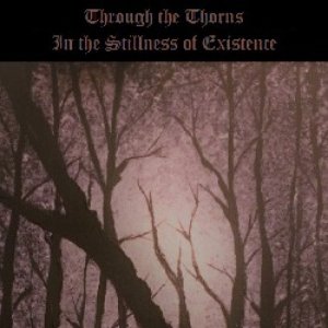 In the Stillness of Existence