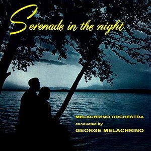 Serenade In The Night