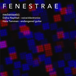 Fenestrae