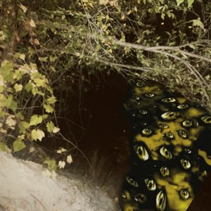 ??. - Single