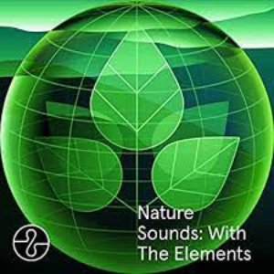 Nature Sounds: With The Elements (Ocean, Rain, Forest)