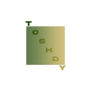 Toshdy 的头像