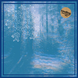 Kindling - Blinding Wave Lyrics - Zortam Music