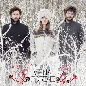 vena portae