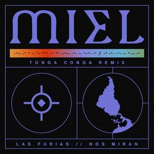 MIEL REMIXES